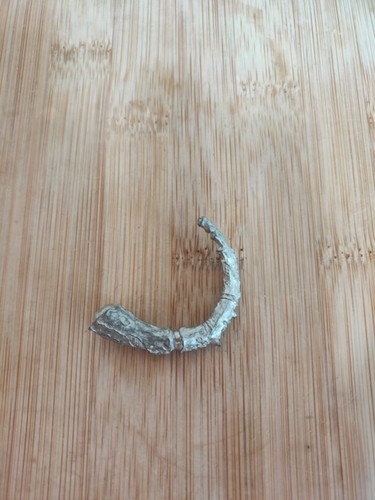 Undead zombie dragon tail - undead,